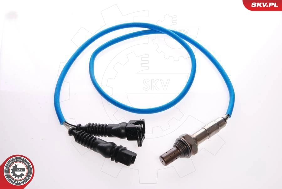 Oxygen Sensor